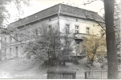Zamek w 1961r. (od strony obecnej Biedronki) 
